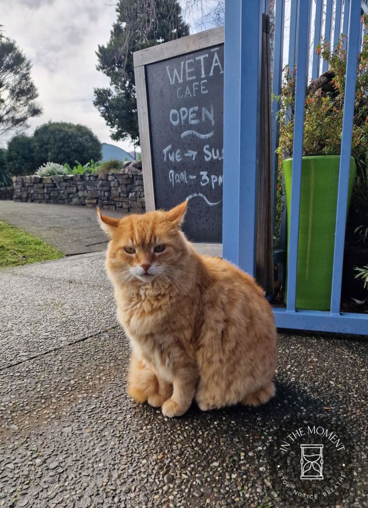 20240820_1004478381066526808118638