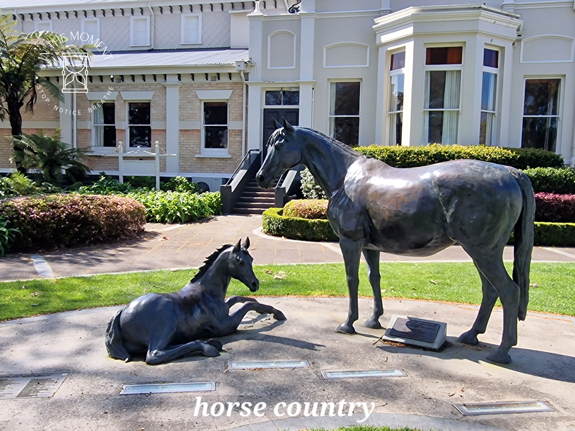 20240911_1140428974688272224444978