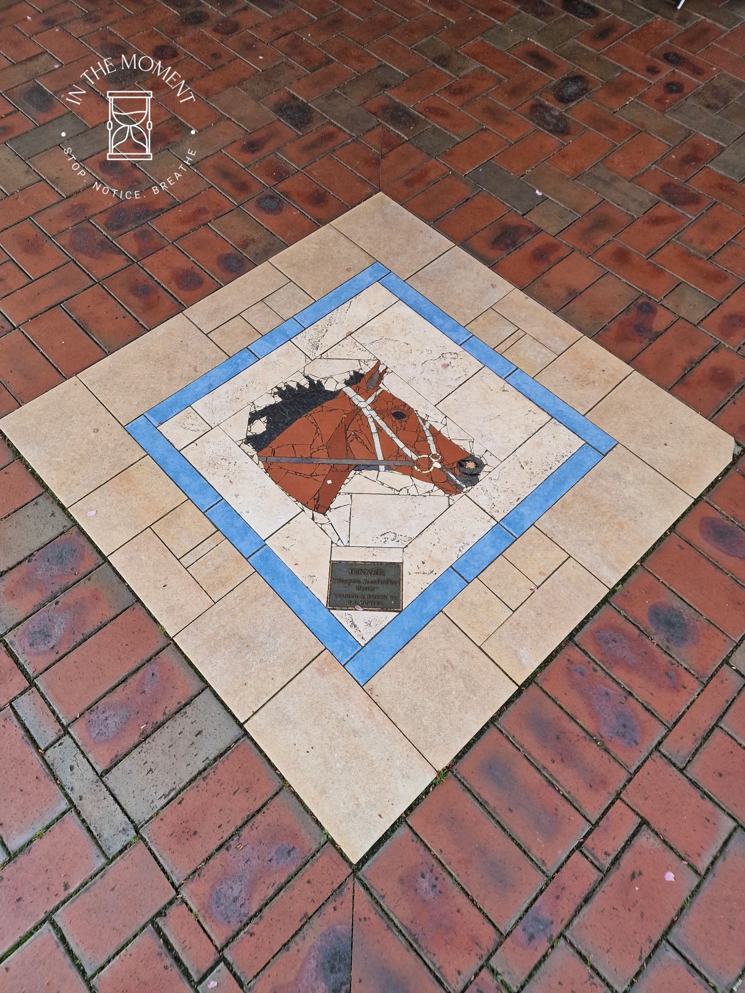 20240911_1159485097307391890938555