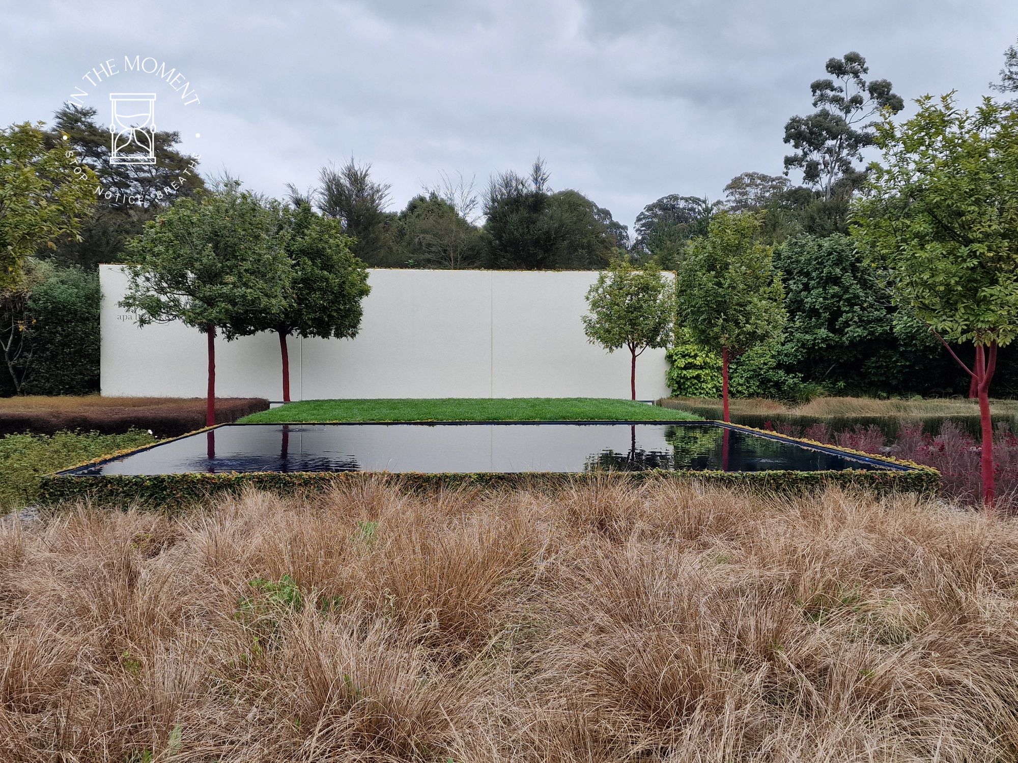 20240912_1542227440523138204343439