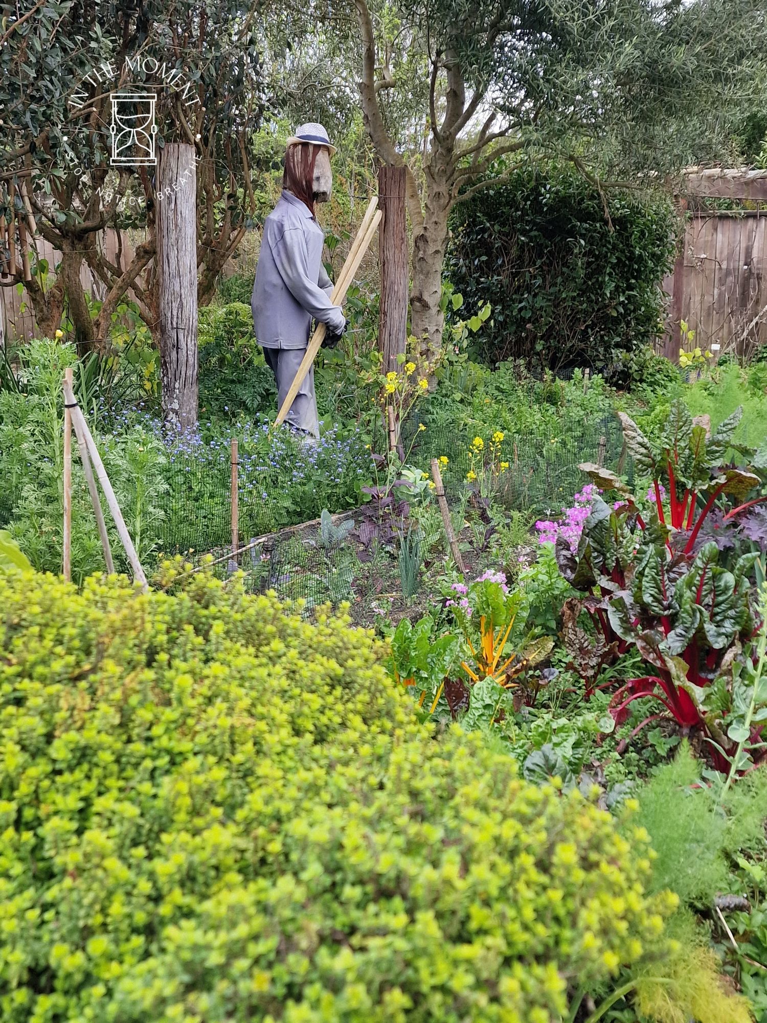 20240912_1545387909008221871552107